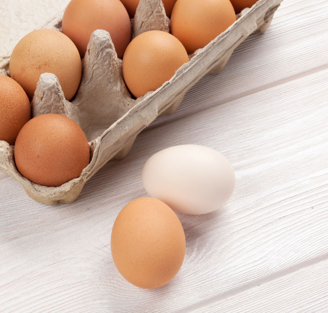 01-Claridge-Moulded-Fibre-Limited